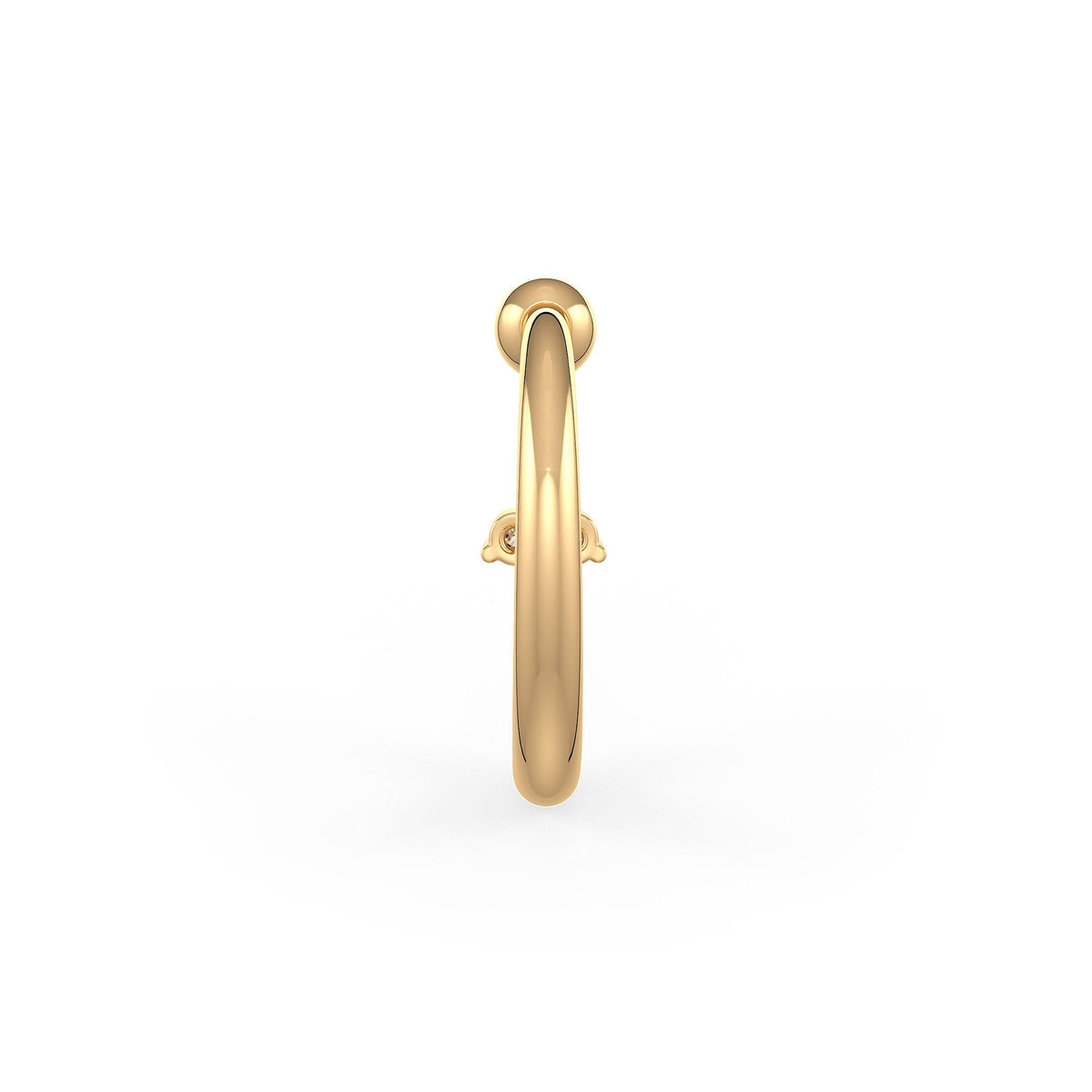 Gold Nose Ring on a white 
background