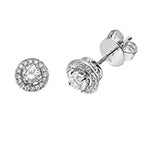 Brilliant 18ct white gold halo studs