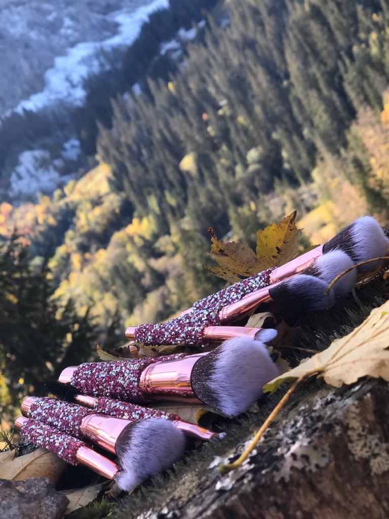 Ensemble de pinceaux de maquillage Diamond Girl incrustés de cristaux avec pochette